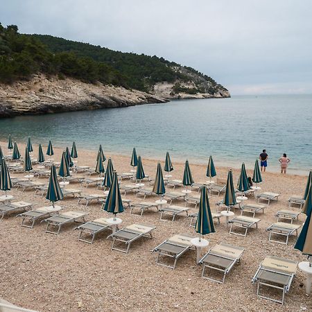 La Finestra Sul Mare - Antonella Apartment Vieste Eksteriør bilde