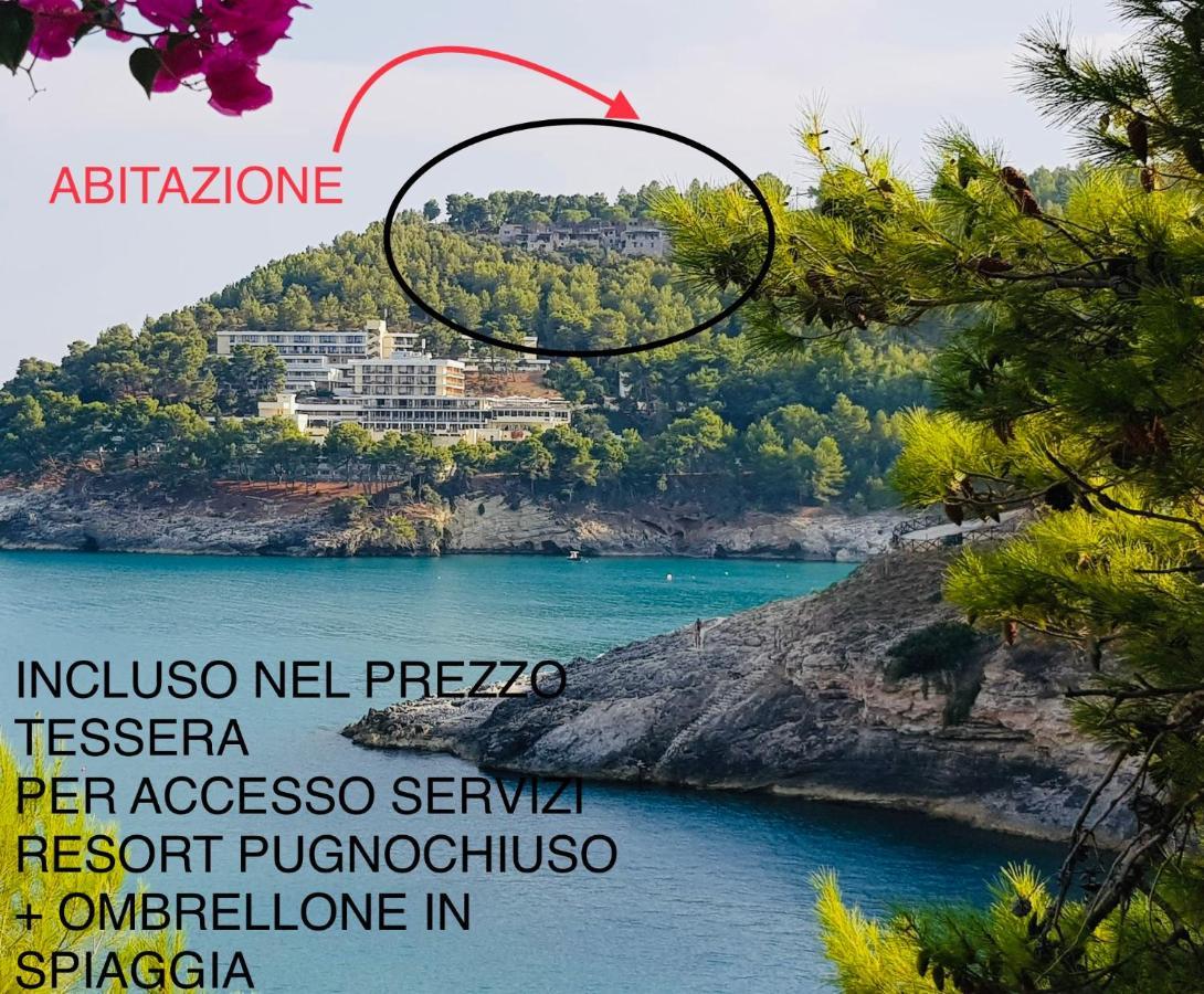 La Finestra Sul Mare - Antonella Apartment Vieste Eksteriør bilde